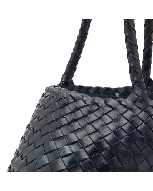 Dragon Diffusion Blue Santa Croce Large Presented By End