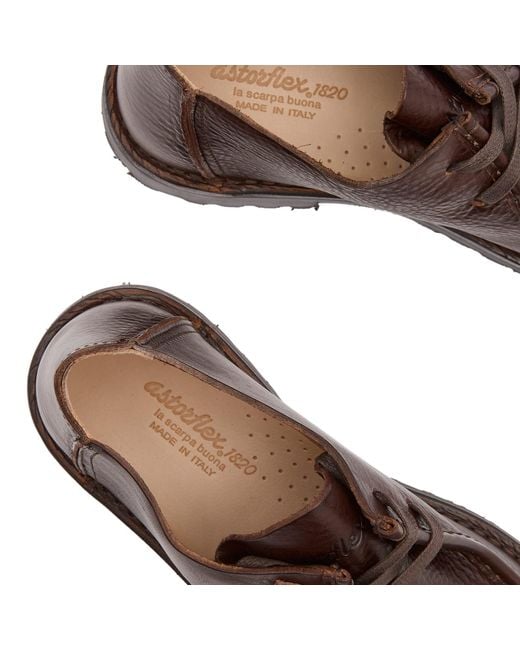 Astorflex Brown Beenflex Grain Leather Shoes for men