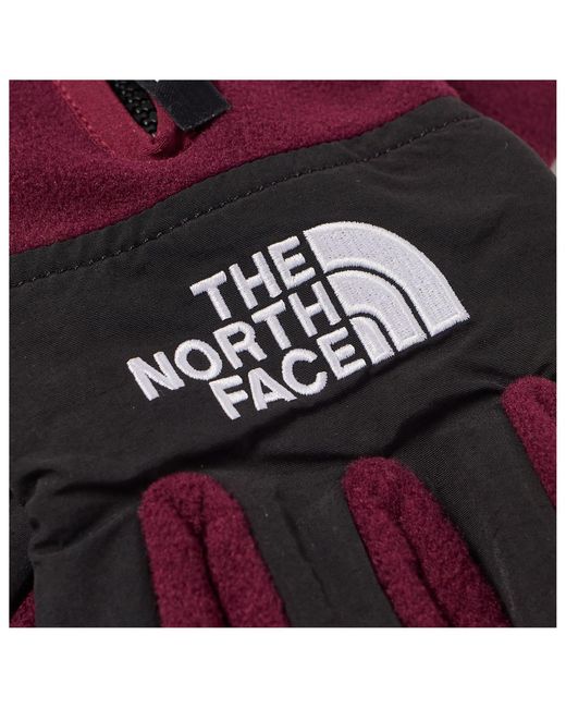 The North Face Purple Denali E-Tip Glove for men