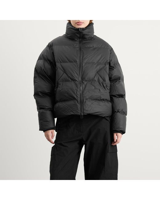 Kassl Black X Tretorn Hybrid Shelter Short Padded Jacket