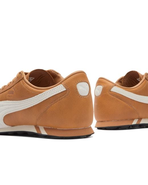 PUMA Brown Sprint Premium Sneaker for men