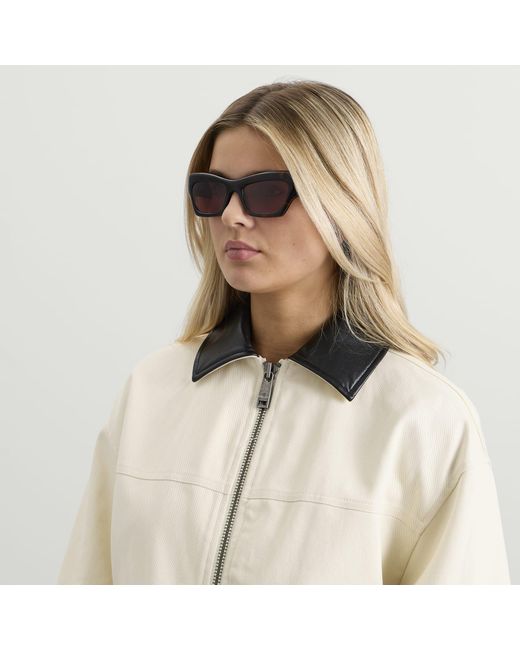 Port Tanger Brown Ayreen Sunglasses