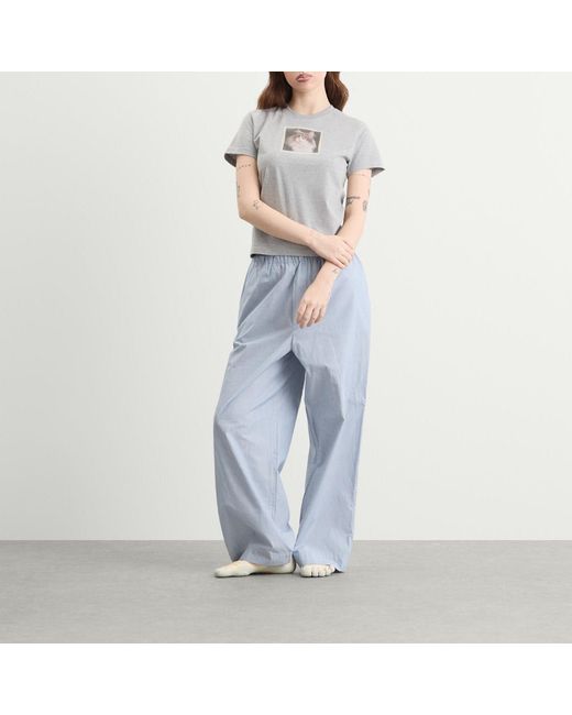 Fruity Booty Cat T-Shirt in Gray | Lyst