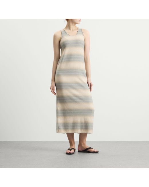 Auralee Natural Gradient Stripe Knit Dress