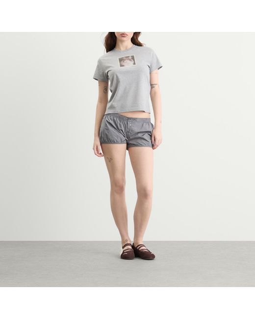 Fruity Booty Gray Tafetta Bloomer Shortie