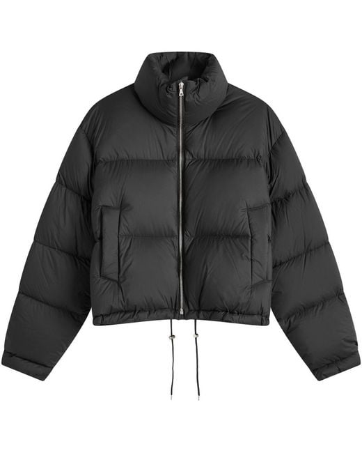 AURALEE Super Light Nylon Ripstop Down Blouson in Black | Lyst AURALEE Super Light Nylon Ripstop Down Blouson in Black | Lyst