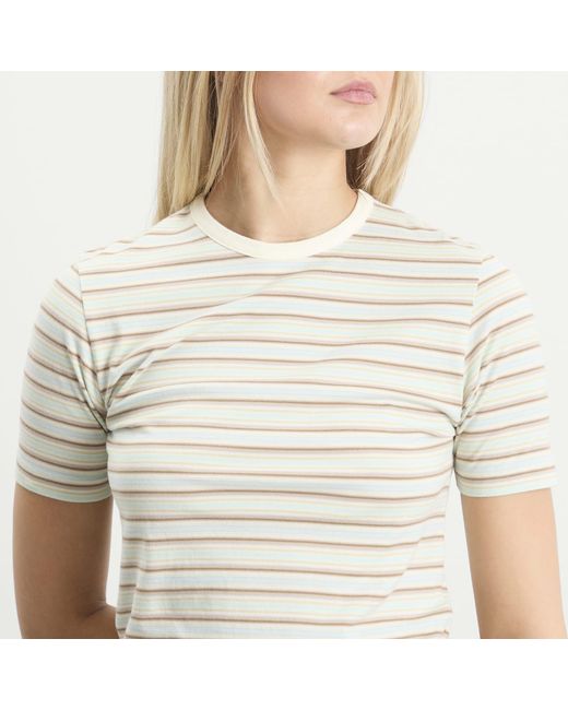 Auralee Natural Gradient Stripe T-Shirt