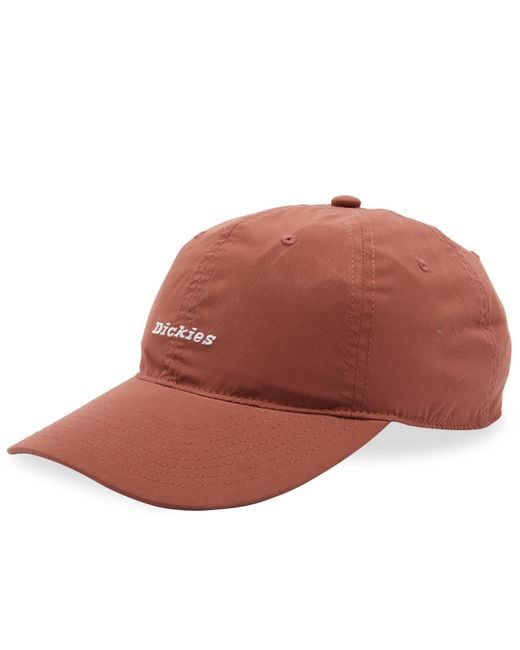 Dickies Brown Premium Collection Ball Cap for men