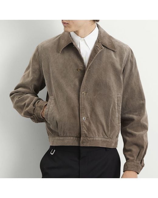 AURALEE Brown Pigment Dyed Finx Corduroy Blouson
