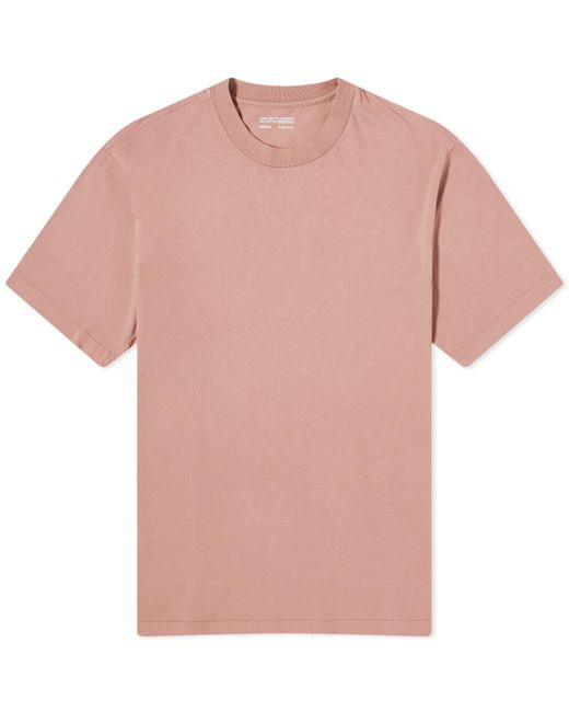 Lady White Co. Pink Lady Co. Athens T-Shirt for men