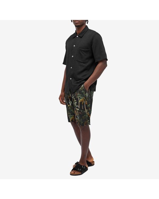 Endless Joy Black Palm Board Shorts for men