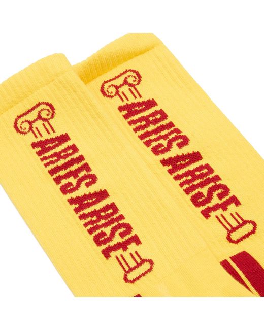Aries Yellow Column Socks