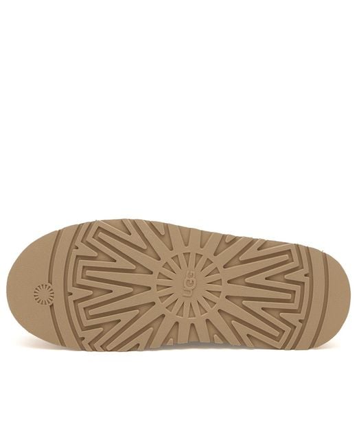 Ugg Brown Tazz Plains
