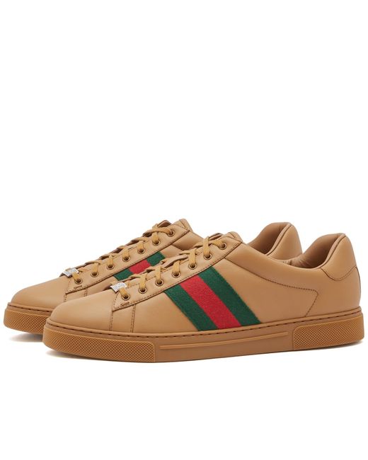 Gucci Brown Lace Sneakers for men