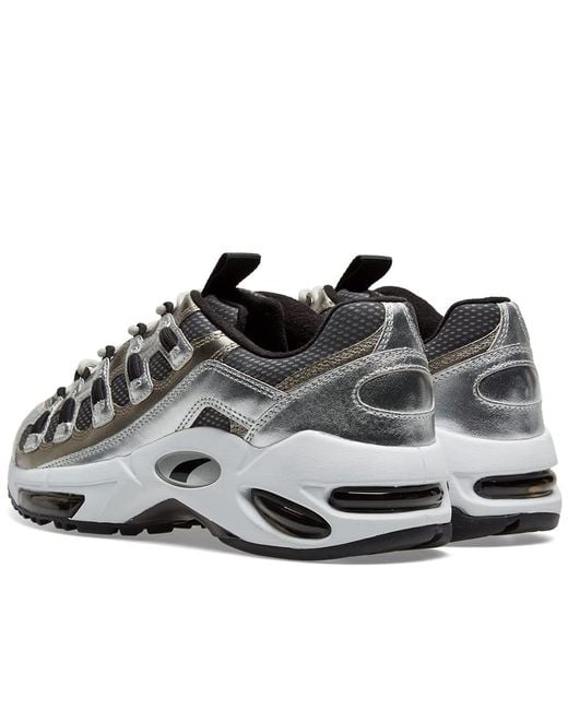 puma cell blends