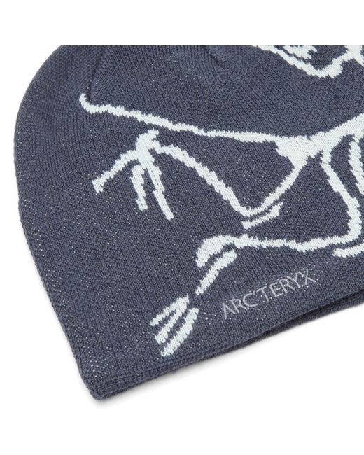 Arc'teryx Blue Bird Head Toque