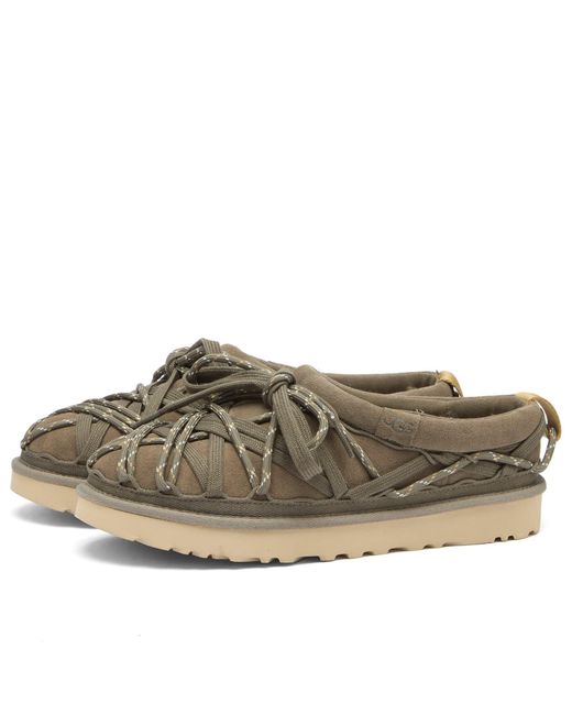 Ugg Brown Tasman Lace