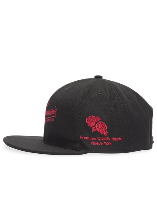 Willy Chavarria Black Fine Fashion Cap