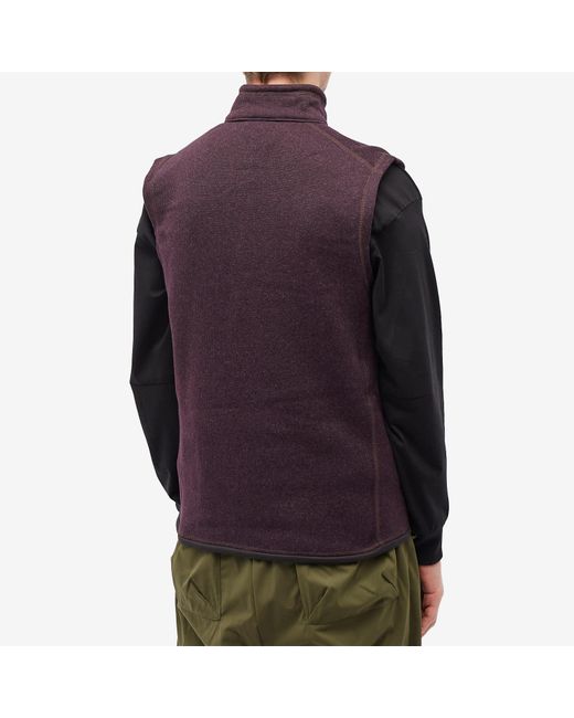 Patagonia Purple Better Sweater Vest for men