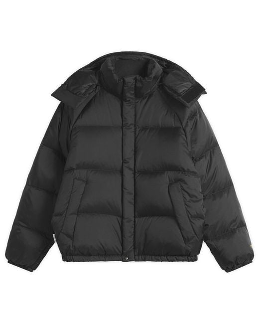 Thisisneverthat Black X Gore-Tex Windstopper Puffer Down Jacket for men