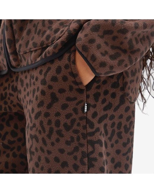 Obey Brown Dottie Pant