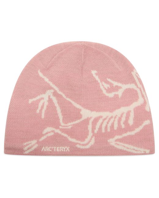 Arc'teryx Bird Head Toque in Pink for Men | Lyst Australia Arc'teryx Bird Head Toque in Pink for Men | Lyst Australia