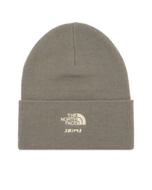 THE NORTH FACE SKIMS ニット帽 グレー THE NORTH FACE SKIMS ニット帽 グレー THE NORTH FACE（ザ ノース