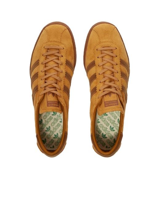 adidas Tobacco Gruen Mesa, Brown Desert & Wild Brown for Men