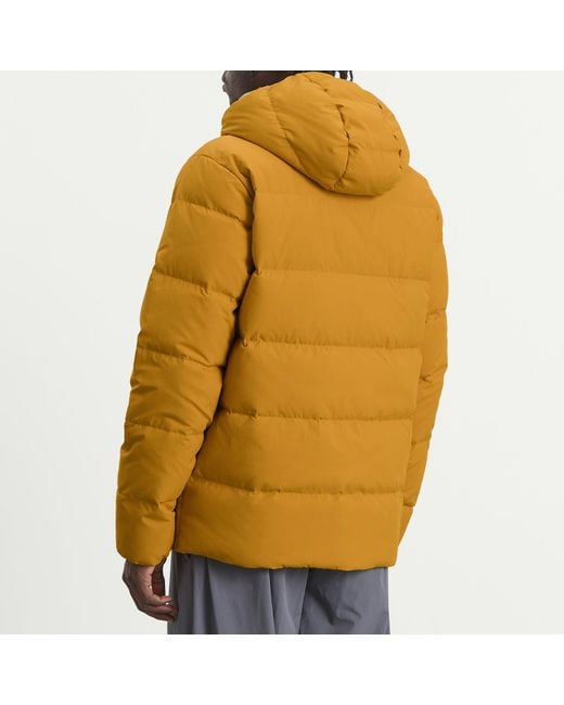 Patagonia Yellow Sisar Down Hooded Jacket for men