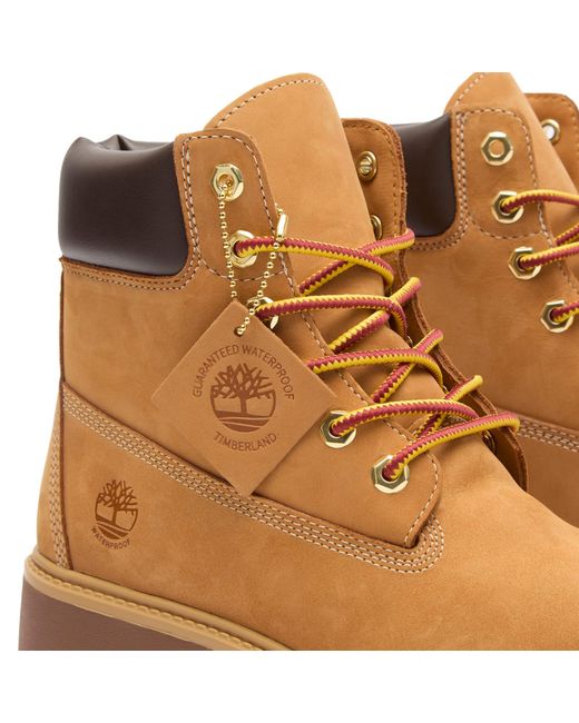 Timberland Brown 6" Lace Boot