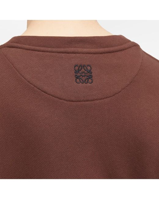 Loewe Brown Bird Sweater for men