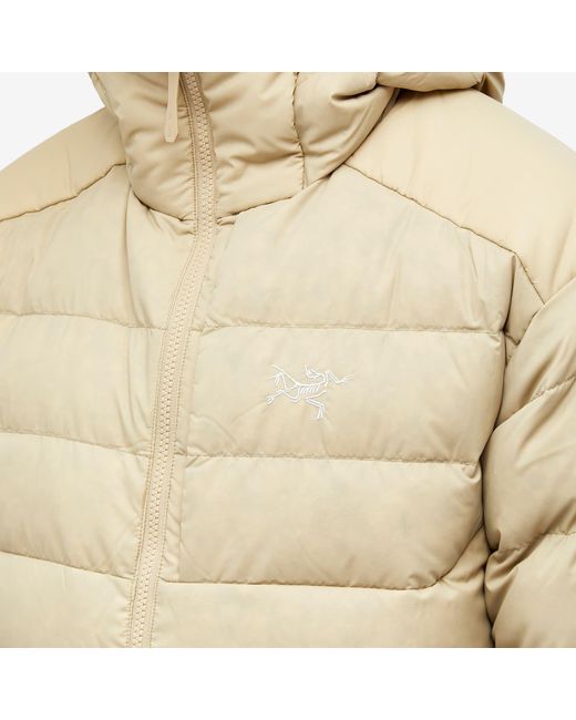 Arc'teryx Thorium Hoodie Jacket in Natural for Men | Lyst