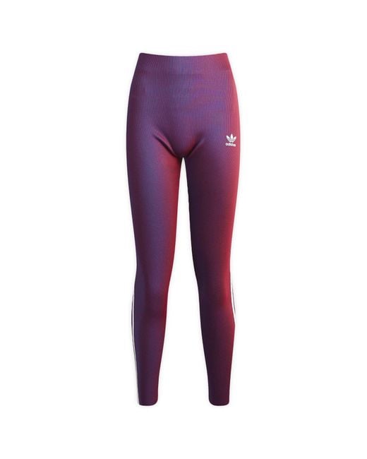 Adidas Purple Rasant Ribbed Leggings