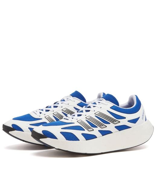 Adidas Blue Adizero Aruku Sneaker for men