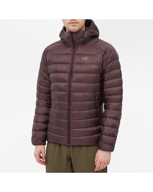 Cerium lt shop sale