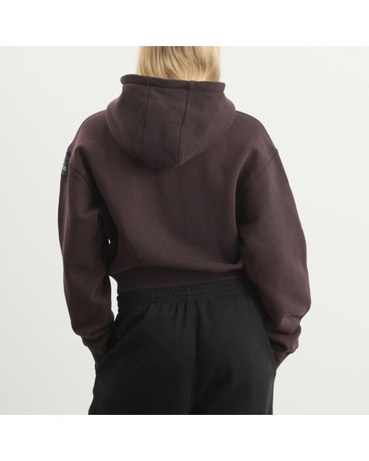 Adidas Brown Eqt Cropped Hoodie
