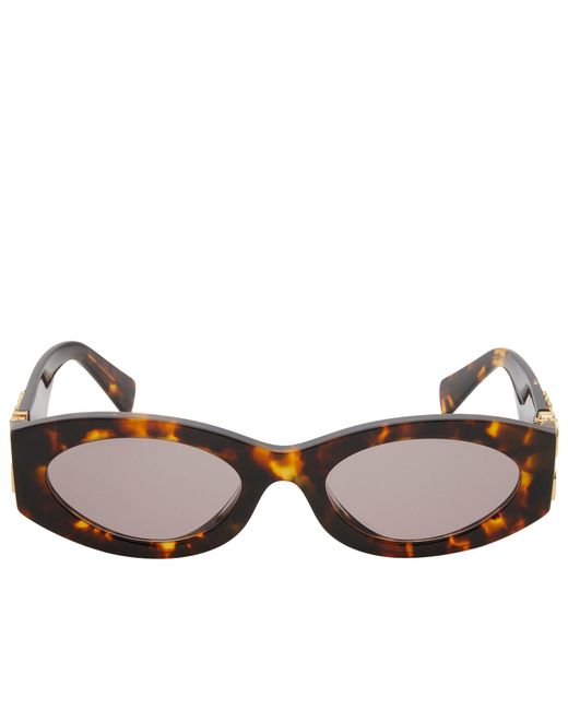 Miu Miu Brown 11Ws Glimpse Sunglasses