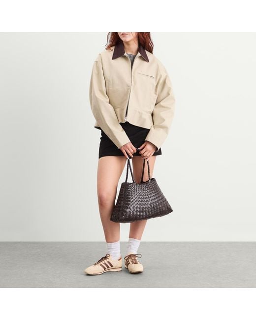 Dragon Diffusion Brown Santa Croce Large Bag