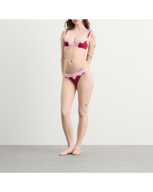 Fruity Booty Pink Lacie Bra