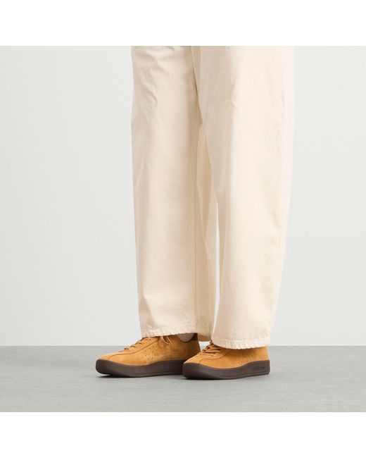 Adidas Brown Mallorca Sneaker