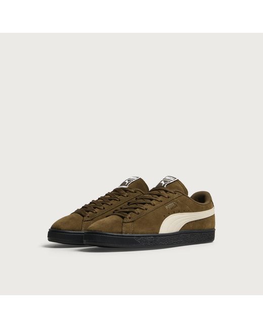 PUMA Brown Suede Sneaker for men