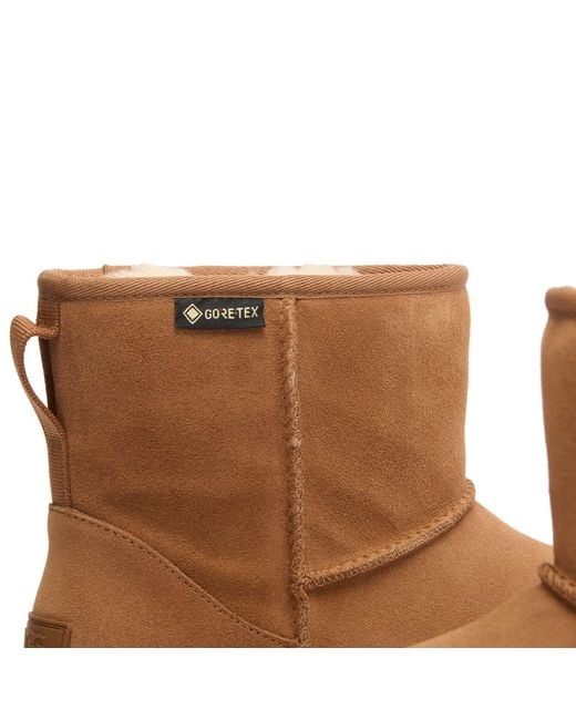 Ugg Brown Classic Mini Boot