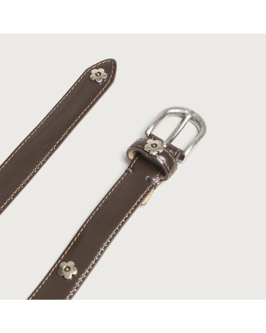 mfpen Multicolor Rivet Purpose Belt for men