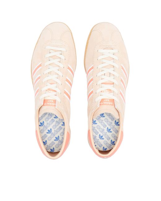 Adidas Pink State Series "Massachusetts" Sneakers