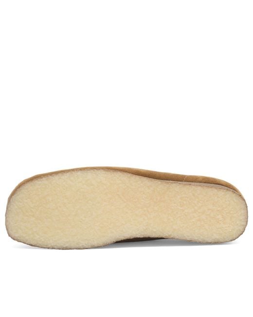 Clarks Brown Wallabee for men