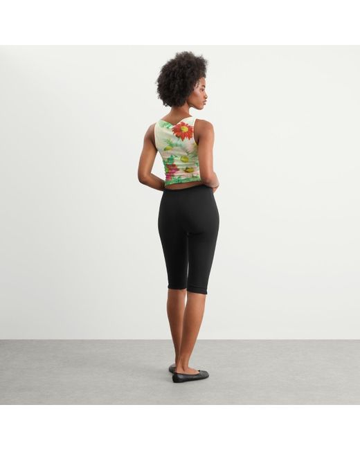 House Of Sunny Green Cosmos Mesh Top