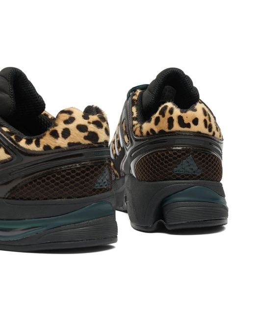 Adidas Black Adistar Control 5 W Sneaker