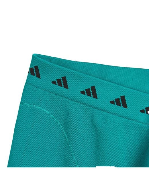 Adidas Blue Eqt Shorts