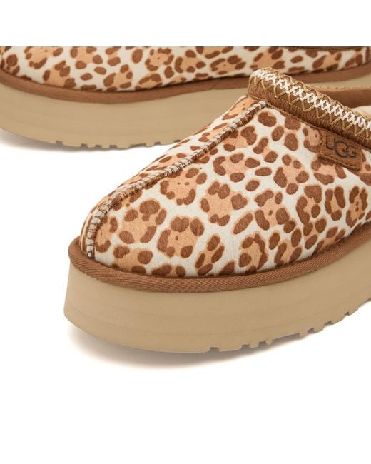 Ugg Brown Tazz Plains