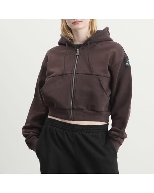 Adidas Brown Eqt Cropped Hoodie
